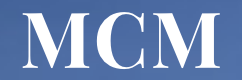MCM Constructors Inc.